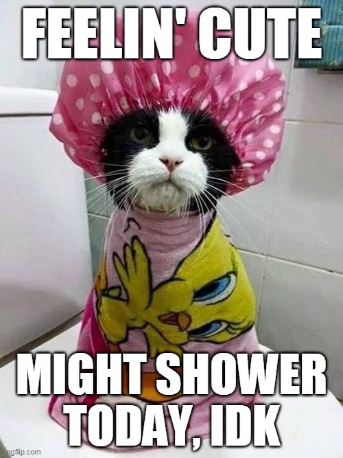 Shower kitty  | FEELIN' CUTE; MIGHT SHOWER TODAY, IDK | image tagged in shower kitty | made w/ Imgflip meme maker