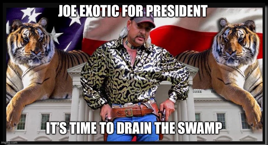 Joe Exotic | JOE EXOTIC FOR PRESIDENT; IT’S TIME TO DRAIN THE SWAMP | image tagged in joe exotic | made w/ Imgflip meme maker