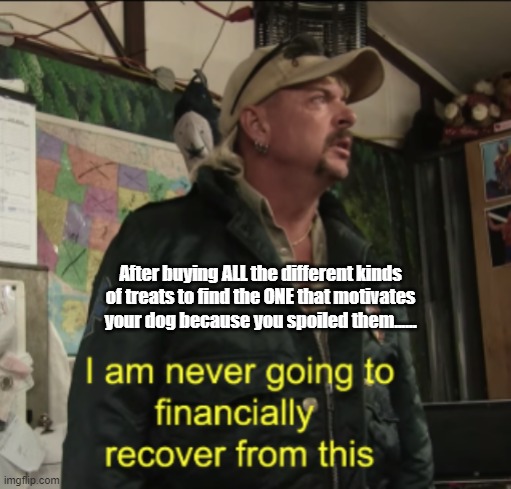 Joe Exotic Financially Recover | After buying ALL the different kinds of treats to find the ONE that motivates your dog because you spoiled them...... | image tagged in joe exotic financially recover | made w/ Imgflip meme maker