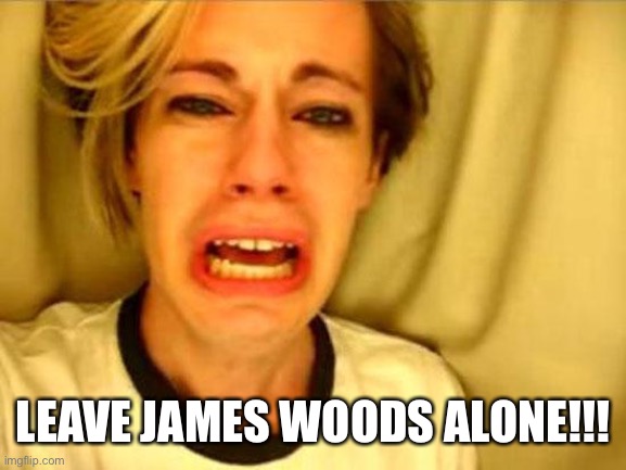 Leave Britney Alone | LEAVE JAMES WOODS ALONE!!! | image tagged in leave britney alone | made w/ Imgflip meme maker