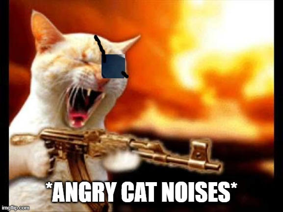 cat with gun | *ANGRY CAT NOISES* | image tagged in cat with gun | made w/ Imgflip meme maker
