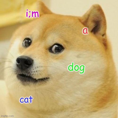 Doge Meme |  i;m; a; dog; cat | image tagged in memes,doge | made w/ Imgflip meme maker