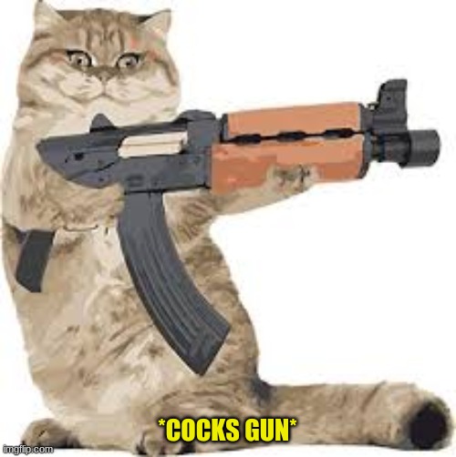 *COCKS GUN* | made w/ Imgflip meme maker
