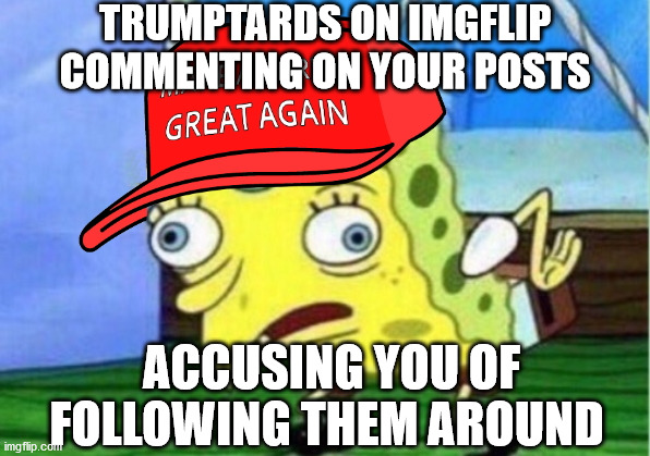 SpongeBob TrumpTard | TRUMPTARDS ON IMGFLIP COMMENTING ON YOUR POSTS; ACCUSING YOU OF FOLLOWING THEM AROUND | image tagged in spongebob trumptard | made w/ Imgflip meme maker