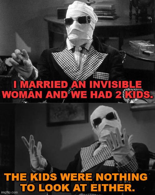 This meme is nothing to look at either. | I MARRIED AN INVISIBLE WOMAN AND WE HAD 2 KIDS. THE KIDS WERE NOTHING 
TO LOOK AT EITHER. | image tagged in dad joke | made w/ Imgflip meme maker