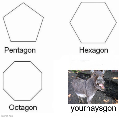 Pentagon Hexagon Octagon Meme | yourhaysgon | image tagged in memes,pentagon hexagon octagon | made w/ Imgflip meme maker