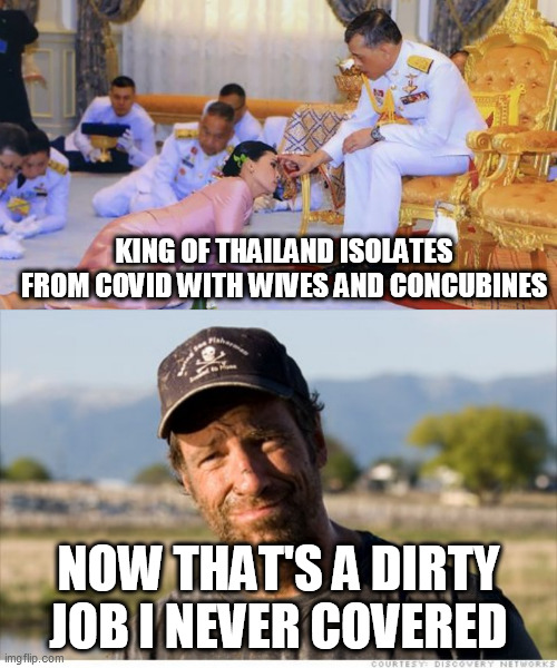 KING OF THAILAND ISOLATES FROM COVID WITH WIVES AND CONCUBINES; NOW THAT'S A DIRTY JOB I NEVER COVERED | image tagged in dirty jobs,thailand king and harem | made w/ Imgflip meme maker