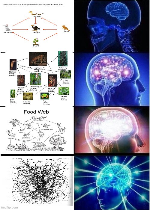 Expanding Brain Meme | image tagged in memes,expanding brain | made w/ Imgflip meme maker