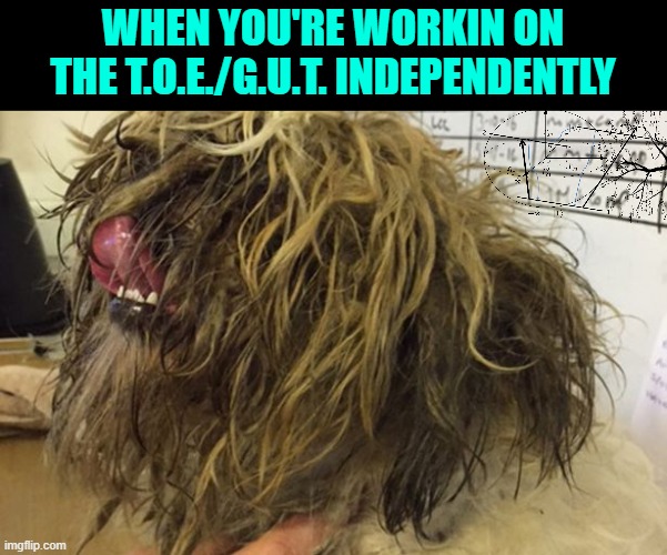 messy hair | WHEN YOU'RE WORKIN ON THE T.O.E./G.U.T. INDEPENDENTLY | image tagged in messy hair | made w/ Imgflip meme maker