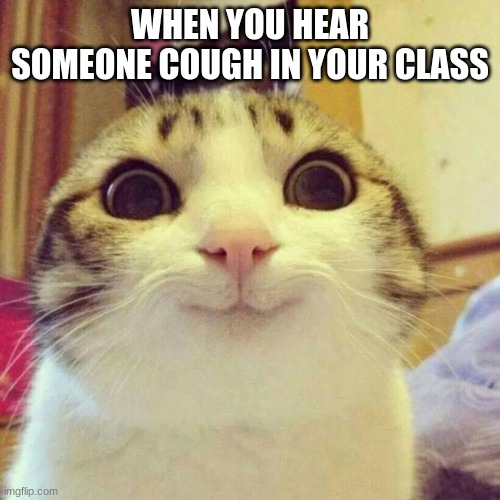 Smiling Cat | WHEN YOU HEAR SOMEONE COUGH IN YOUR CLASS | image tagged in memes,smiling cat | made w/ Imgflip meme maker