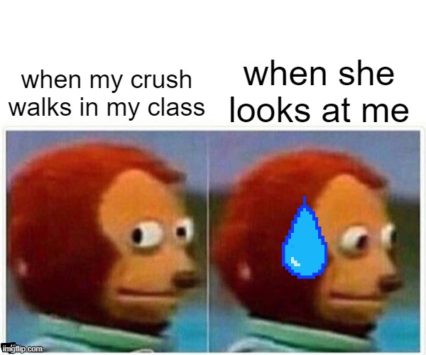 Monkey Puppet | when she looks at me; when my crush walks in my class | image tagged in memes,monkey puppet | made w/ Imgflip meme maker