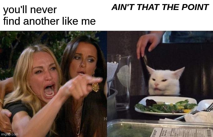 Woman Yelling At Cat | you'll never find another like me; AIN'T THAT THE POINT | image tagged in memes,woman yelling at cat | made w/ Imgflip meme maker