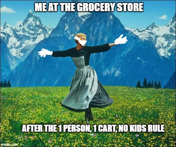 Julie Andrews | ME AT THE GROCERY STORE; AFTER THE 1 PERSON, 1 CART, NO KIDS RULE | image tagged in julie andrews | made w/ Imgflip meme maker