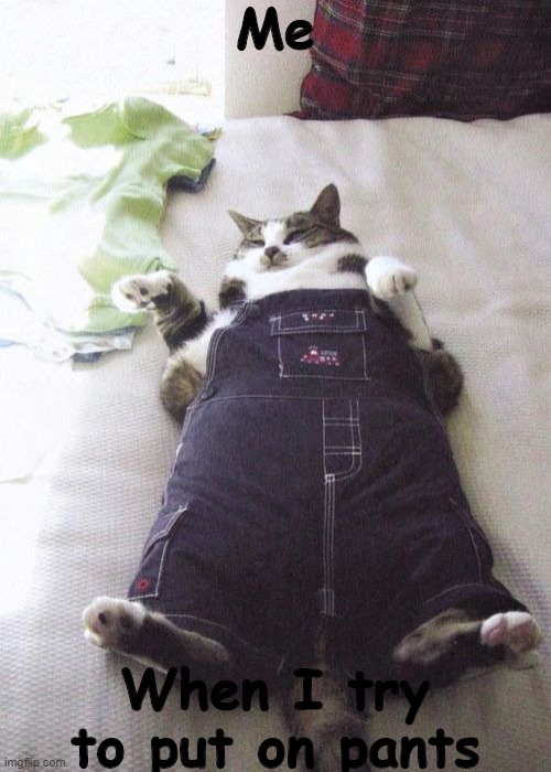 Their to beeg | Me; When I try to put on pants | image tagged in memes,fat cat | made w/ Imgflip meme maker