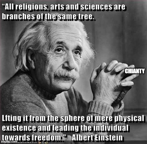 Einstein? | image tagged in freedom | made w/ Imgflip meme maker