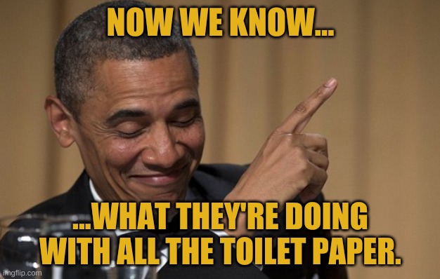 There you go | NOW WE KNOW... ...WHAT THEY'RE DOING WITH ALL THE TOILET PAPER. | image tagged in there you go | made w/ Imgflip meme maker