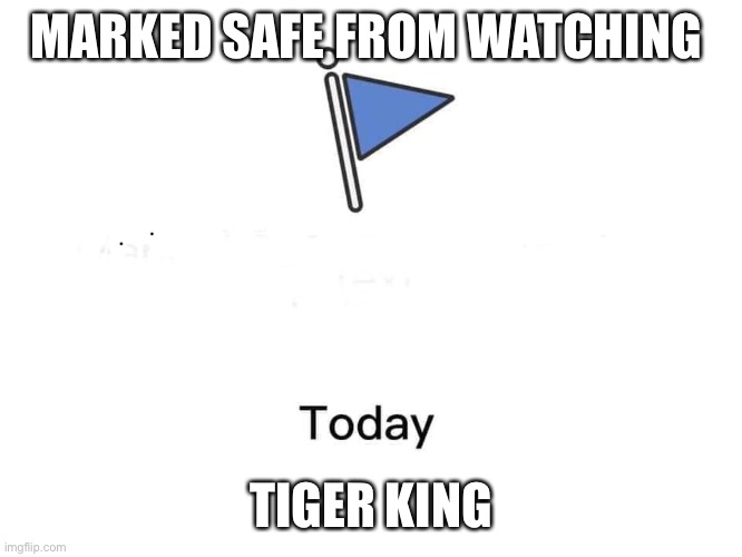 Marked safe from |  MARKED SAFE FROM WATCHING; TIGER KING | image tagged in marked safe from | made w/ Imgflip meme maker