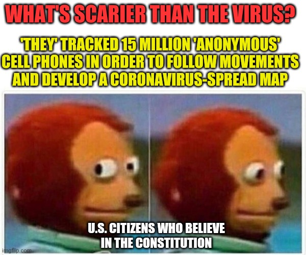 Side glance monkey | WHAT'S SCARIER THAN THE VIRUS? 'THEY' TRACKED 15 MILLION 'ANONYMOUS' CELL PHONES IN ORDER TO FOLLOW MOVEMENTS
AND DEVELOP A CORONAVIRUS-SPREAD MAP; U.S. CITIZENS WHO BELIEVE
IN THE CONSTITUTION | image tagged in side glance monkey,coronavirus,covid-19,china,quarantine,constitution | made w/ Imgflip meme maker