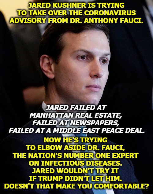 The Son-in-law Also Rises | JARED KUSHNER IS TRYING TO TAKE OVER THE CORONAVIRUS ADVISORY FROM DR. ANTHONY FAUCI. JARED FAILED AT 
MANHATTAN REAL ESTATE, 
FAILED AT NEWSPAPERS, 
FAILED AT A MIDDLE EAST PEACE DEAL. NOW HE'S TRYING 
TO ELBOW ASIDE DR. FAUCI, 
THE NATION'S NUMBER ONE EXPERT 
ON INFECTIOUS DISEASES. 
JARED WOULDN'T TRY IT 
IF TRUMP DIDN'T LET HIM. 
DOESN'T THAT MAKE YOU COMFORTABLE? | image tagged in jared kushner,failure,trump,loser,death | made w/ Imgflip meme maker