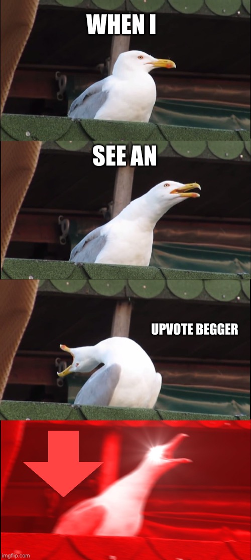 Inhaling Seagull Meme | WHEN I SEE AN UPVOTE BEGGER | image tagged in memes,inhaling seagull | made w/ Imgflip meme maker