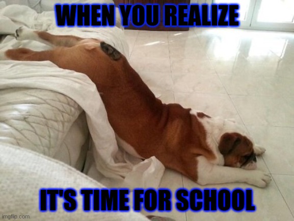 when its time for school | WHEN YOU REALIZE; IT'S TIME FOR SCHOOL | image tagged in memes | made w/ Imgflip meme maker