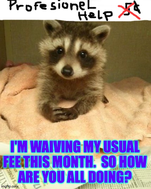Everyone's feeling the stress. | I'M WAIVING MY USUAL
FEE THIS MONTH.  SO HOW
ARE YOU ALL DOING? | image tagged in trash panda therapist,memes,tell me about it | made w/ Imgflip meme maker