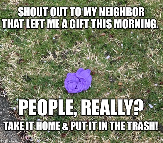 Gift from a neighbor during Quarantine 2020. | SHOUT OUT TO MY NEIGHBOR THAT LEFT ME A GIFT THIS MORNING. PEOPLE, REALLY? TAKE IT HOME & PUT IT IN THE TRASH! | image tagged in medical glove litter,slops leaving trash,surgical glove on lawn,gift,glove trash,corona virus trash | made w/ Imgflip meme maker