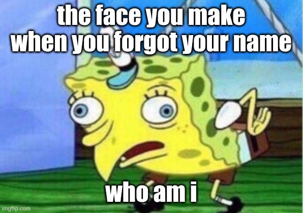 Mocking Spongebob | the face you make when you forgot your name; who am i | image tagged in memes,mocking spongebob | made w/ Imgflip meme maker