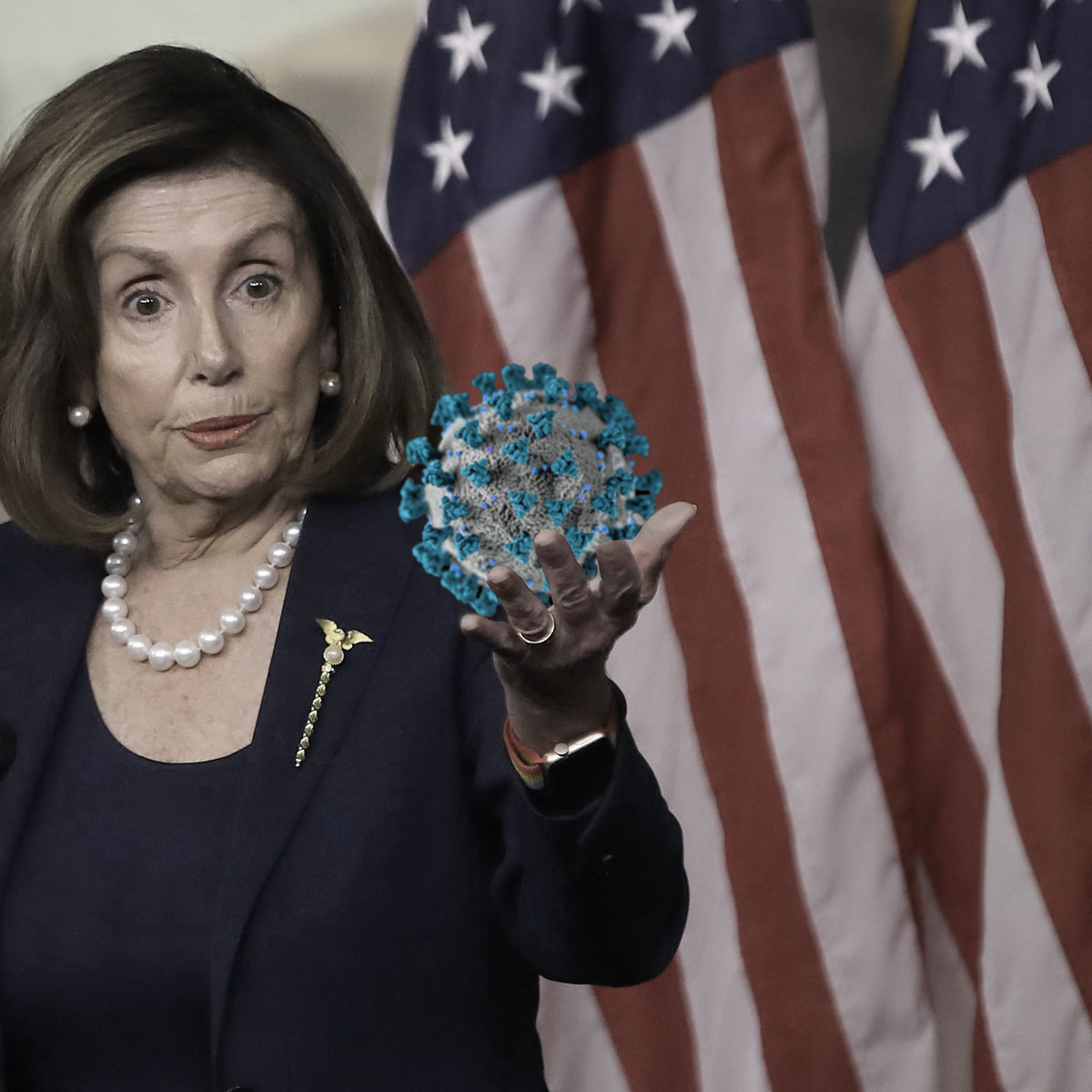 Pelosi and the Coronavirus Blank Meme Template