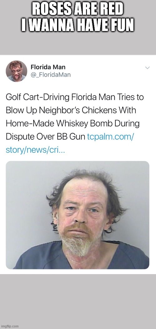 I tried | ROSES ARE RED
I WANNA HAVE FUN | image tagged in florida man | made w/ Imgflip meme maker