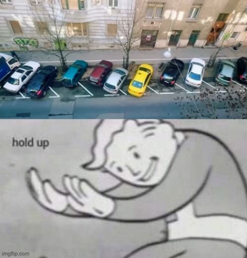 Professional parking | image tagged in dumb,memes,funny | made w/ Imgflip meme maker
