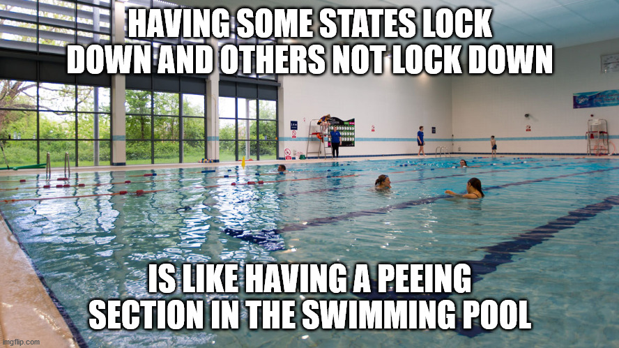 HAVING SOME STATES LOCK DOWN AND OTHERS NOT LOCK DOWN; IS LIKE HAVING A PEEING SECTION IN THE SWIMMING POOL | image tagged in peeing,swimming pool,coronavirus | made w/ Imgflip meme maker