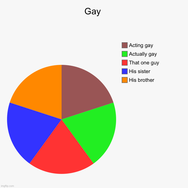 Gay | His brother, His sister, That one guy, Actually gay, Acting gay | image tagged in charts,pie charts | made w/ Imgflip chart maker