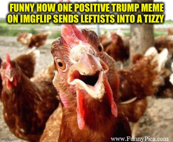 TDS, there is no cure. | FUNNY HOW ONE POSITIVE TRUMP MEME ON IMGFLIP SENDS LEFTISTS INTO A TIZZY | image tagged in chicken,trump derangement syndrome,democrats,liberal logic,stupid liberals,president trump | made w/ Imgflip meme maker