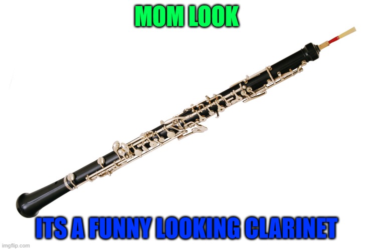  MOM LOOK; ITS A FUNNY LOOKING CLARINET | made w/ Imgflip meme maker
