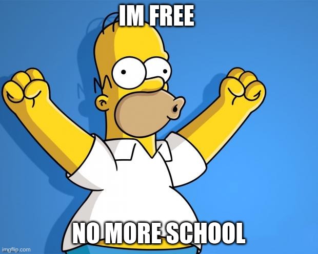 Woohoo Homer Simpson | IM FREE; NO MORE SCHOOL | image tagged in woohoo homer simpson | made w/ Imgflip meme maker