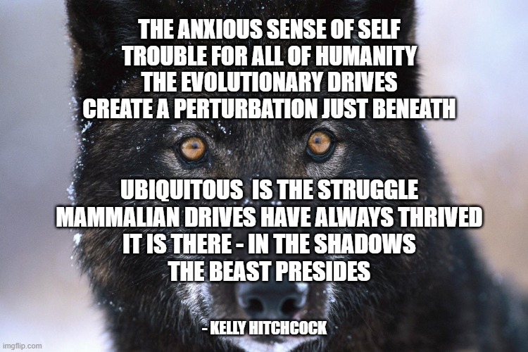 The Anxious sense of self | THE ANXIOUS SENSE OF SELF
TROUBLE FOR ALL OF HUMANITY
THE EVOLUTIONARY DRIVES
CREATE A PERTURBATION JUST BENEATH; UBIQUITOUS  IS THE STRUGGLE
MAMMALIAN DRIVES HAVE ALWAYS THRIVED
IT IS THERE - IN THE SHADOWS
THE BEAST PRESIDES; - KELLY HITCHCOCK | image tagged in behavior | made w/ Imgflip meme maker