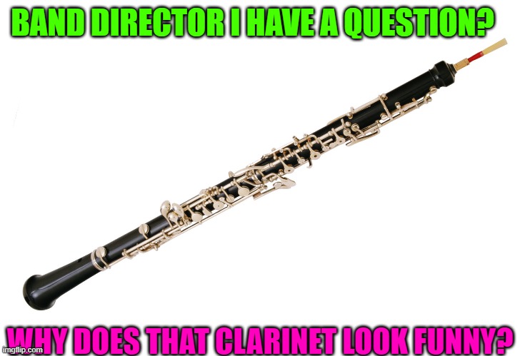 Big disappointment | BAND DIRECTOR I HAVE A QUESTION? WHY DOES THAT CLARINET LOOK FUNNY? | image tagged in band,memes | made w/ Imgflip meme maker