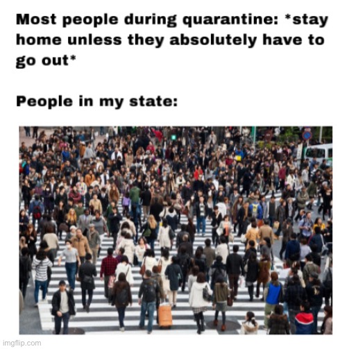 Quarantine | image tagged in coronavirus,corona virus,michigan | made w/ Imgflip meme maker