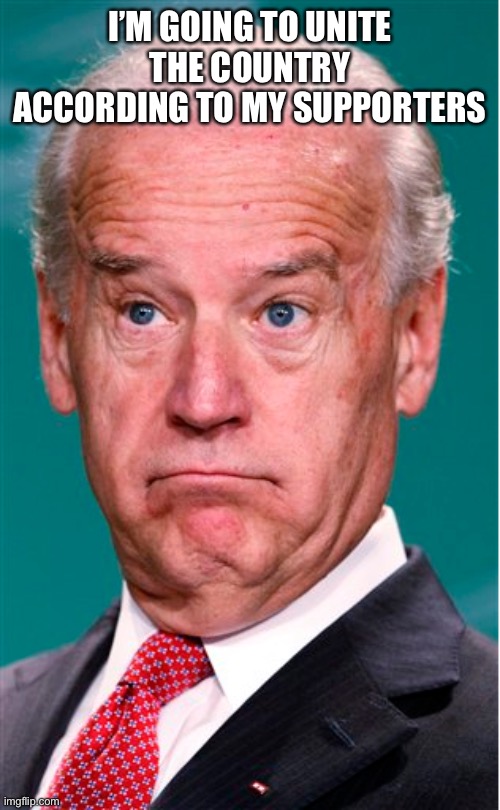 Hopefully he will take us back to the Obama years when people weren’t divided down every demographic in the book...oh wait | I’M GOING TO UNITE THE COUNTRY ACCORDING TO MY SUPPORTERS | image tagged in joe biden,obama,liberal logic,stupid liberals | made w/ Imgflip meme maker
