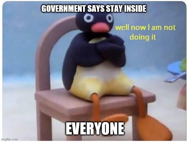 Well Now I'm not Doing it | GOVERNMENT SAYS STAY INSIDE; EVERYONE | image tagged in well now i'm not doing it | made w/ Imgflip meme maker