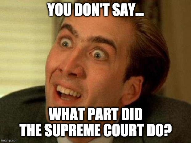 Nicolas cage | YOU DON'T SAY... WHAT PART DID THE SUPREME COURT DO? | image tagged in nicolas cage | made w/ Imgflip meme maker