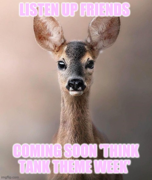 See post for details :) | LISTEN UP FRIENDS; COMING SOON 'THINK TANK THEME WEEK' | image tagged in theme week,get your thinking caps on,please get involved | made w/ Imgflip meme maker