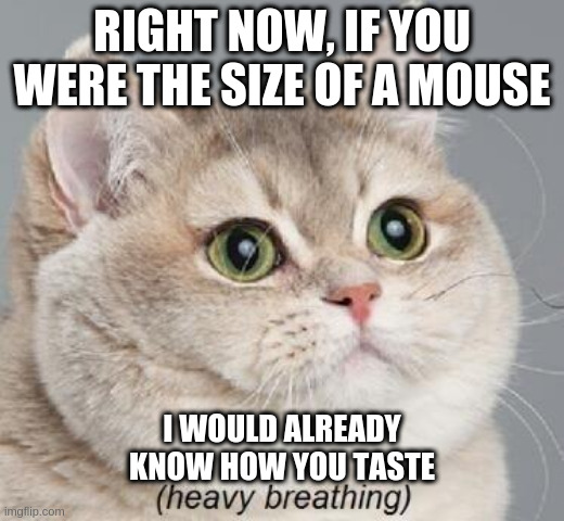 Heavy Breathing Cat Meme | RIGHT NOW, IF YOU WERE THE SIZE OF A MOUSE; I WOULD ALREADY KNOW HOW YOU TASTE | image tagged in memes,heavy breathing cat | made w/ Imgflip meme maker