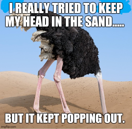 I REALLY TRIED TO KEEP MY HEAD IN THE SAND..... BUT IT KEPT POPPING OUT. | image tagged in funny memes,so true memes,memes | made w/ Imgflip meme maker