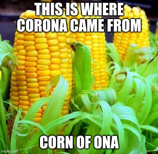 CORN meme | THIS IS WHERE CORONA CAME FROM; CORN OF ONA | image tagged in corn meme | made w/ Imgflip meme maker