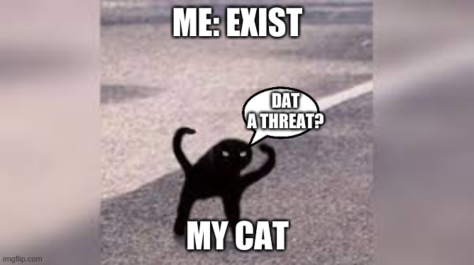 cursed | ME: EXIST; DAT A THREAT? MY CAT | image tagged in cursed | made w/ Imgflip meme maker