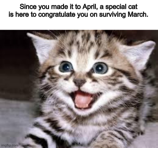 happy cat | Since you made it to April, a special cat is here to congratulate you on surviving March. | image tagged in happy cat | made w/ Imgflip meme maker