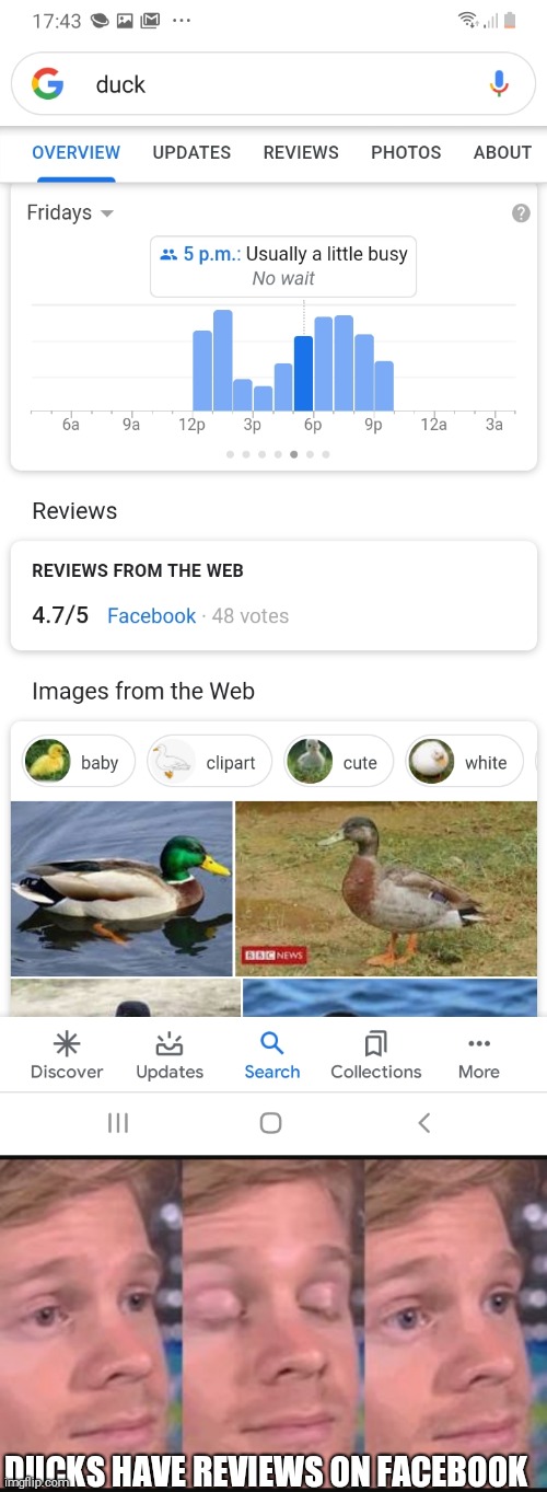 DUCKS HAVE REVIEWS ON FACEBOOK | image tagged in blinking guy | made w/ Imgflip meme maker