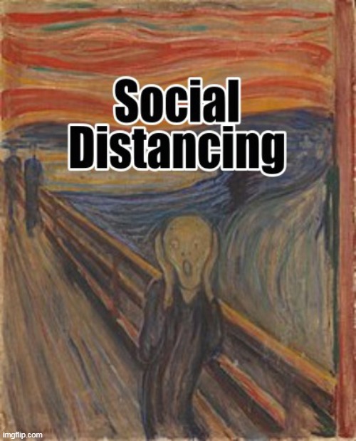 The Scream ~ Edvard Munch 1893 | image tagged in memes,coronavirus,the scream,edvard munch | made w/ Imgflip meme maker